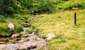 19 Krkonose Bron Labe * De bron van de legendarische rivier de Elbe, hier nog de Labe geheten. Het uitzicht over het dal is geweldig, de afdaling over een steil pad langs de rivier ook. Dit is de laatste etappe van 7,5 km van onze langste (en vermoeiendste) wandeling. * 1024 x 612 * (174KB)